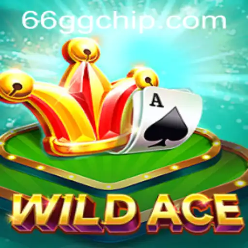WildAce: Exploring the Exciting World of Online Gaming